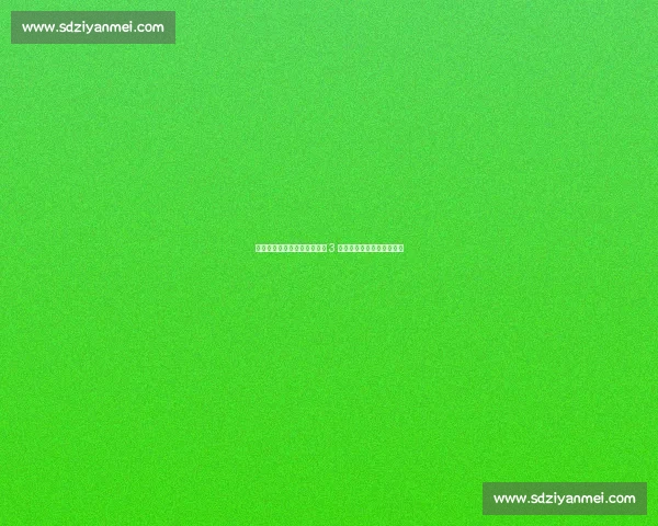 内托创纪录！切尔西边锋连续 3 场世俱杯破门点燃夺冠希望