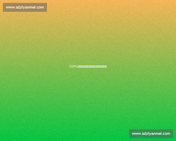 ESPN 制片人钦点詹姆斯：退役后或成战术分析标杆